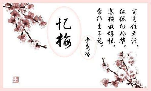 写一首关于梅花的诗句