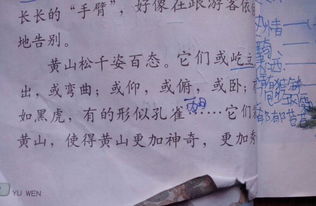 描写黄山的古诗句有哪些,描写黄山最有名古诗,黄山最有名的古诗句
