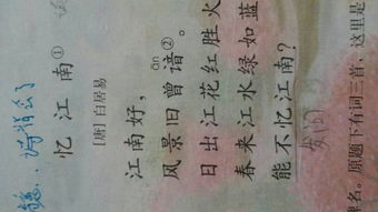 关于酱料的诗句
