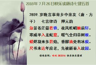 有什么,诗句