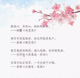 欢迎客人的古诗句,欢迎来客的古诗句,欢迎新人加入的古诗句