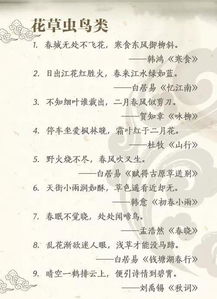 诗句,小学