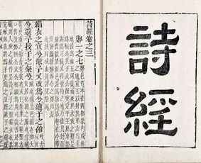 诗句