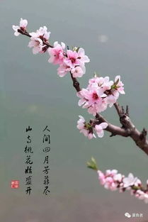 诗句