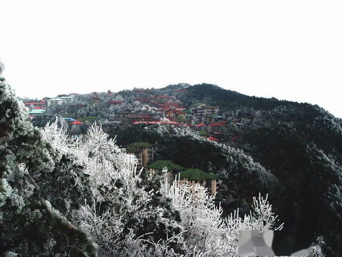 江西,诗句,美景