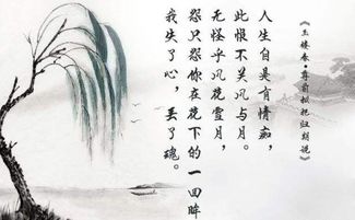 有关景色描写的诗句古诗大全