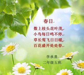 古诗,诗句,感恩,春天