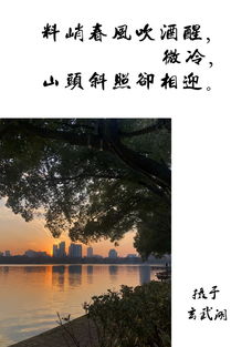 关于长安春天赞美花的诗句古诗