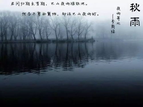 古诗中包含乡愁的诗句