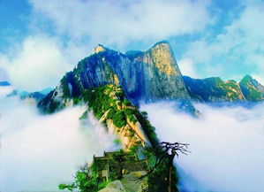 有关于华山的诗句