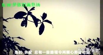 关于兄弟要别离的诗句