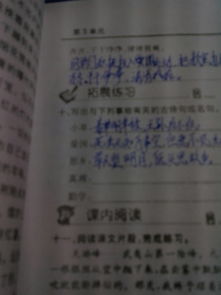 追求真理的古诗句