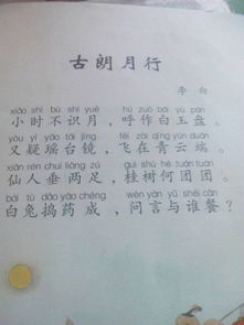 关于写月的诗句古诗词,关于写月的诗句古诗大全,关于写花的诗句古诗