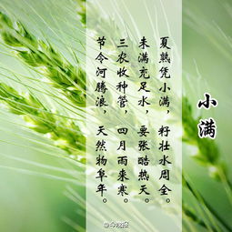小满古诗句