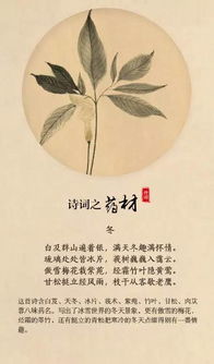 诗句