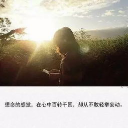 诗句,思念,幸福