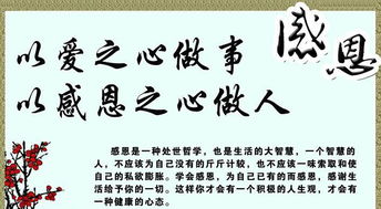 有关感恩大自然的古诗句