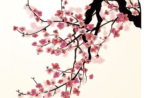 诗句,梅花