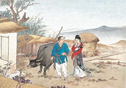 杜甫,唐代,诗句,于七