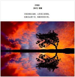 关于酒与落日的诗句