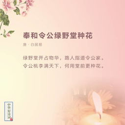 古诗词,诗句,赞美,中秋