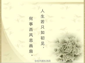 情侣古诗句子唯美