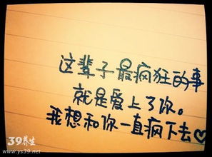 关于家庭担当的诗句