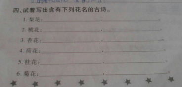 关于杏花和桂花的诗句