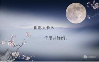 关于月亮中秋节的诗句古诗大全