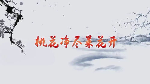 诗句,婚姻,爱情