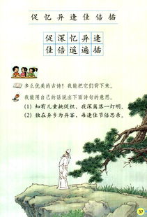 古诗,诗句