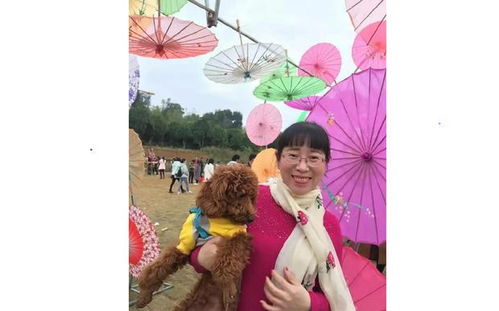 关于《天仙配》的诗句