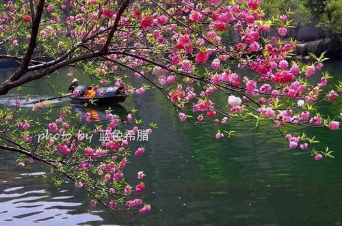 咏柳描写春天的诗句是什么,描写春天的诗句是什么请告诉我,春晓描写春天的诗句是什么