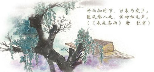 含有情的诗句古诗词