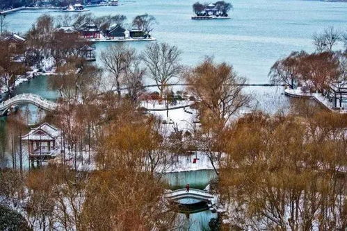 关于雪的诗句或俗语