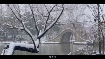 古诗中带扬州雪的诗句