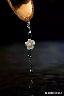 关于人生遇知己的诗句