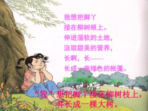 关于宝宝小手的诗句