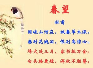 写几句表达思乡情感的古诗句