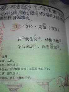 描写雨的古诗句六级