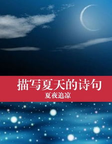 诗句,夜景,夏天