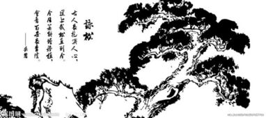 关于有松魄的诗句