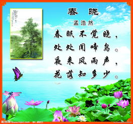 古代聪慧的古诗句
