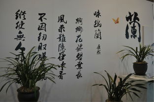 形容兰草古诗句