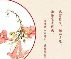 诗句,元宵节,饮酒