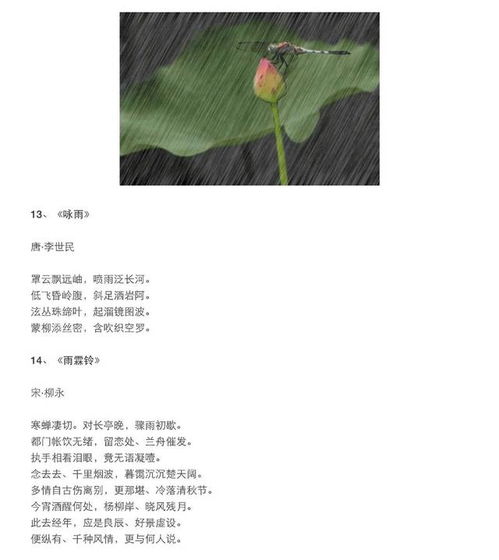古诗中描写下雨的诗句