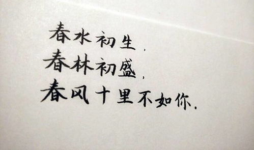 诗句,十里,春风