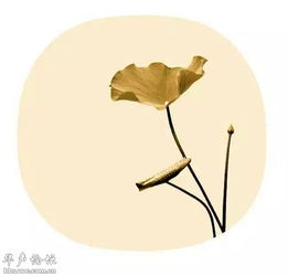 诗句,遗憾,友情