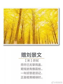 名句,古诗,诗句,丰收