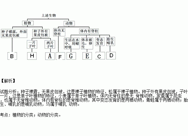 关于生理特征诗句
